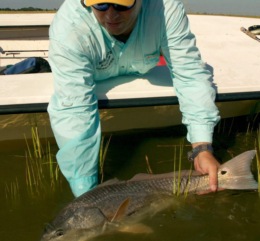 Releasing a redfish in the shallow marsh grass