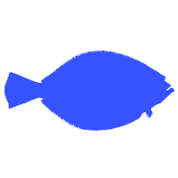 Flounder icon