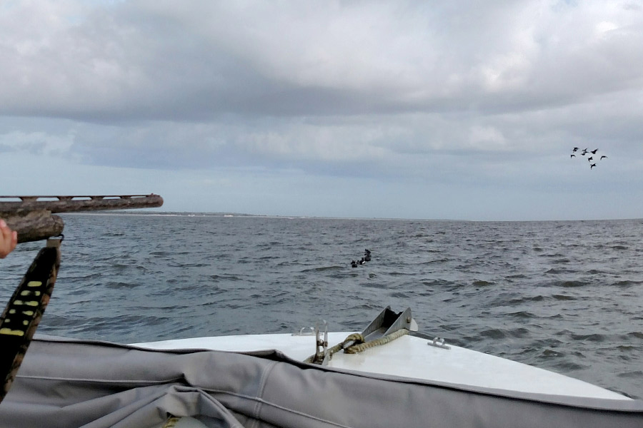 Shotgun barrel and ducks over open water in Coastal Georgia
