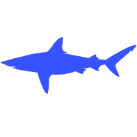 Shark icon