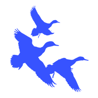 Marsh hen icon